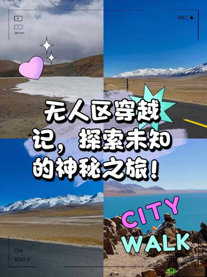 无人区一码二码三码四码多人收藏:探索未知的冒险之旅