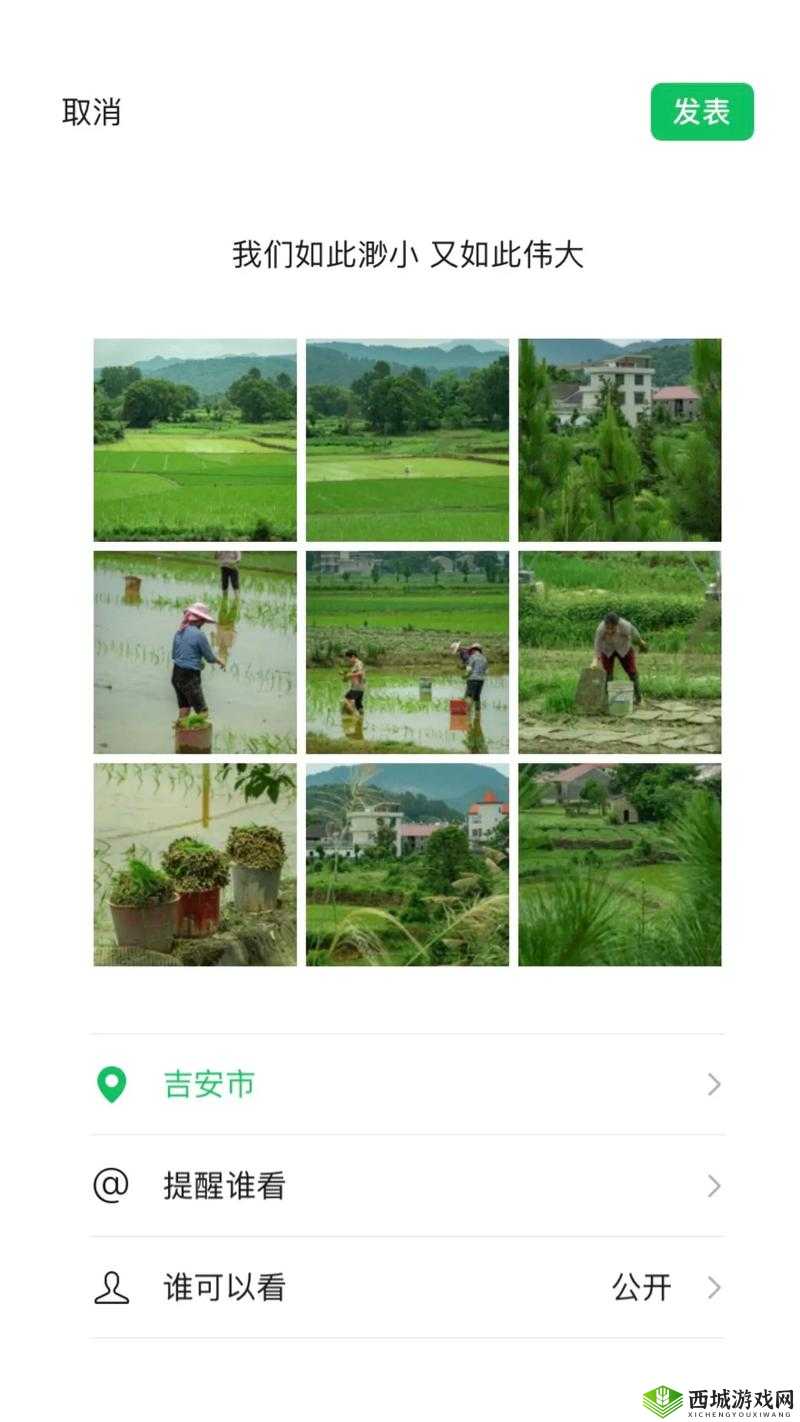 情侣的 100 种插秧方法:探索爱情与农耕的奇妙融合之旅