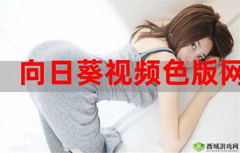 黄色视频软件下载免费且资源丰富不容错过