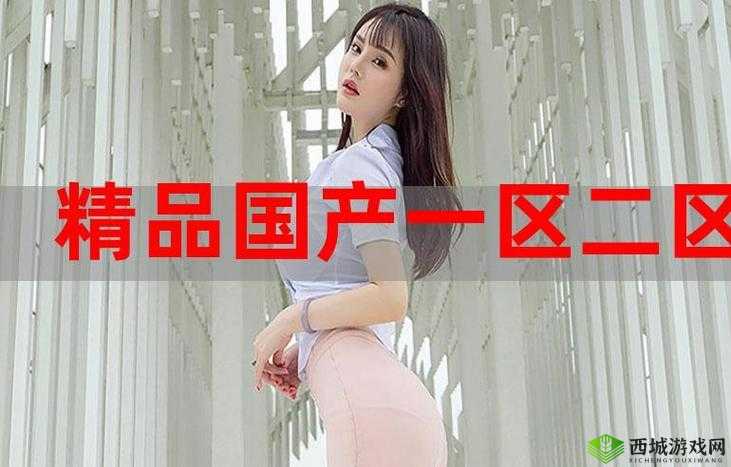 探索国精产品 999 国精产品的奥秘:提升生活品质的秘密武器
